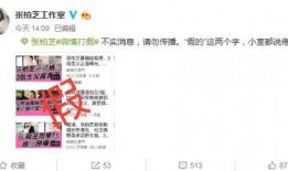 懂小姐的格子间最新爆料,最新爆料揭示职场风云